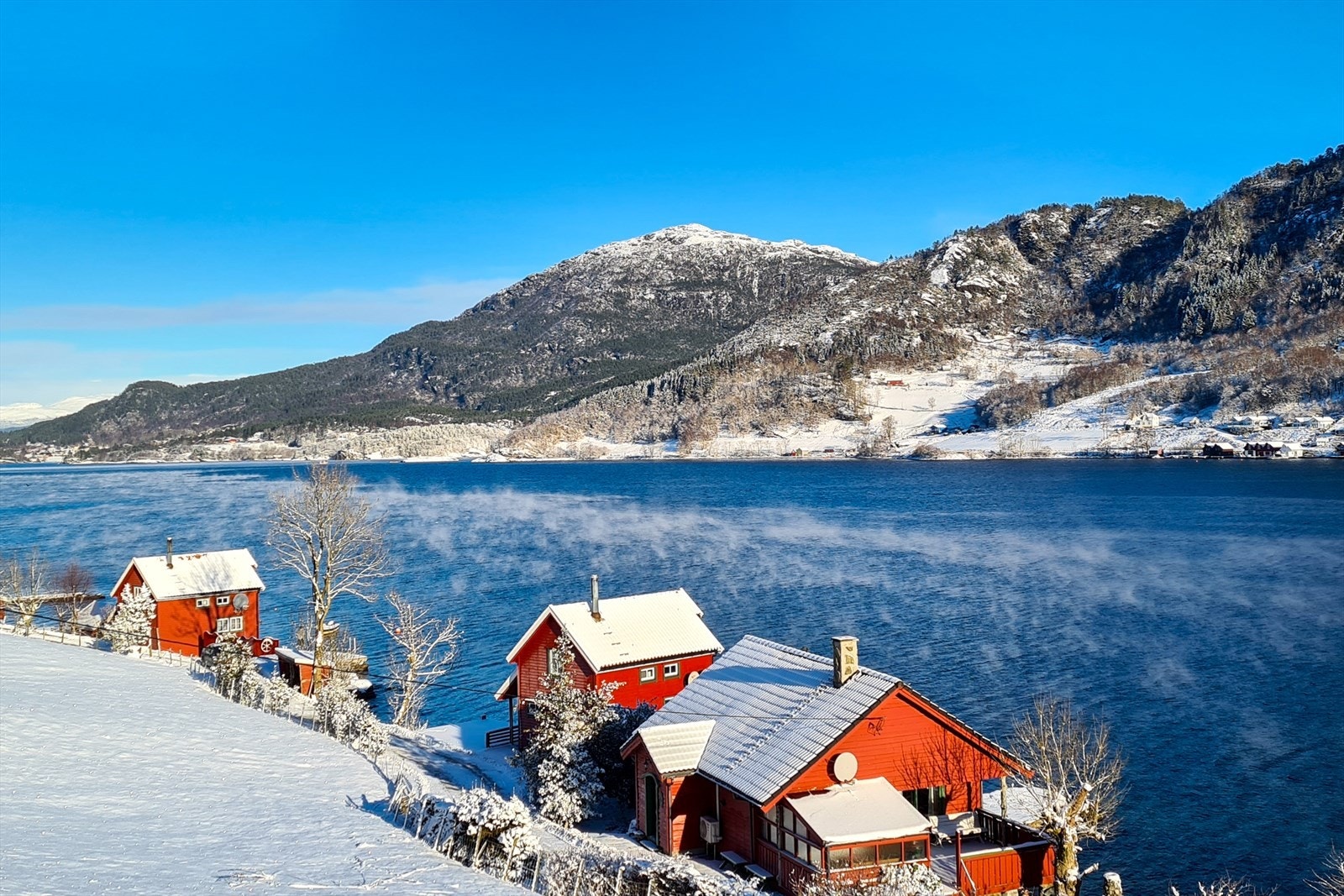 Private stemningsbilder Galleribilde