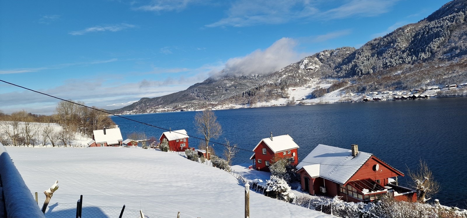 Private vinterbilder Galleribilde