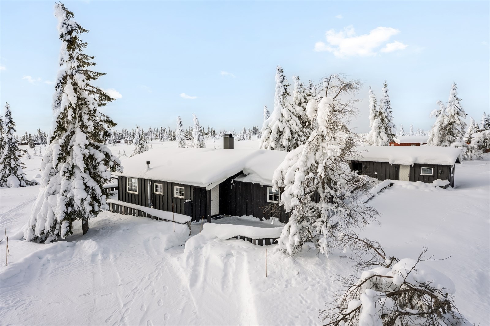 Velkommen til Lauvlia 37! Galleribilde