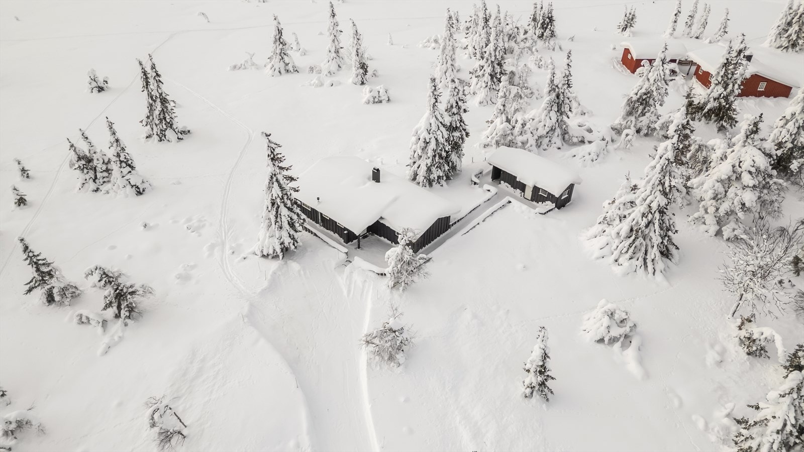 God plass for parkering. Galleribilde