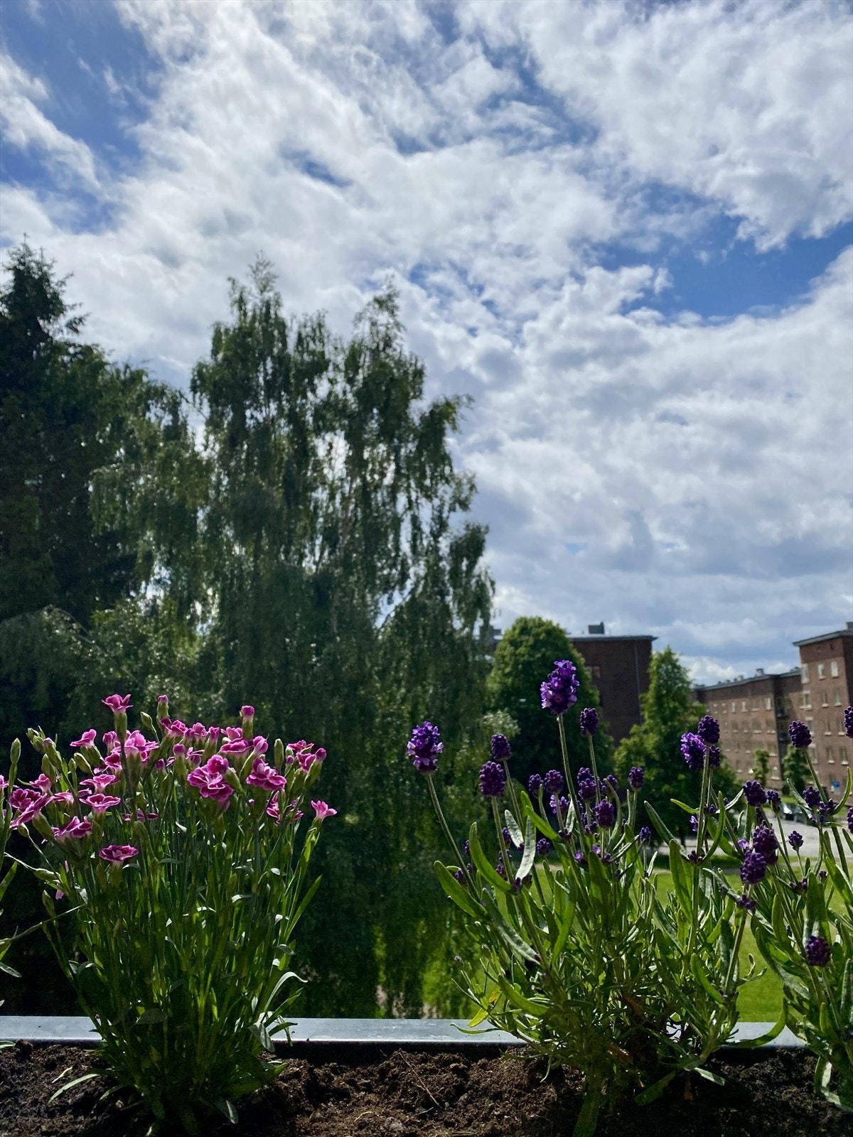 Her bor man i idylliske og grønne omgivelser. Galleribilde