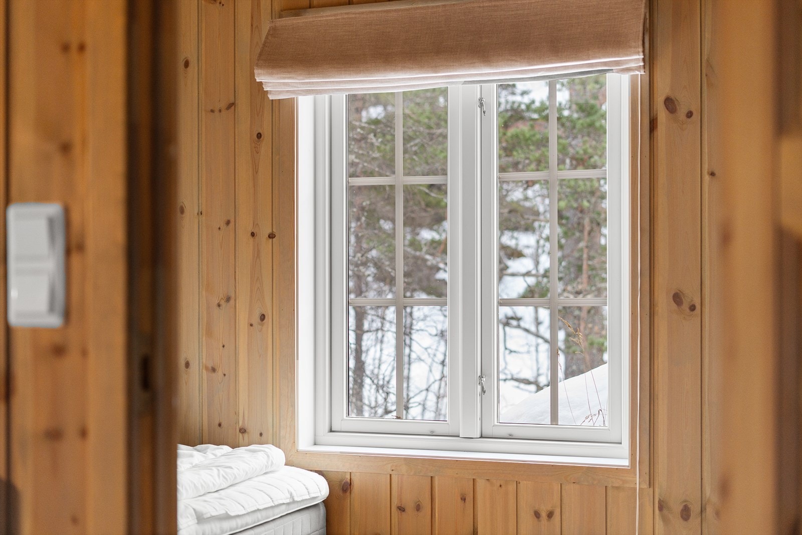 Herlig å våkne opp til naturen. Galleribilde