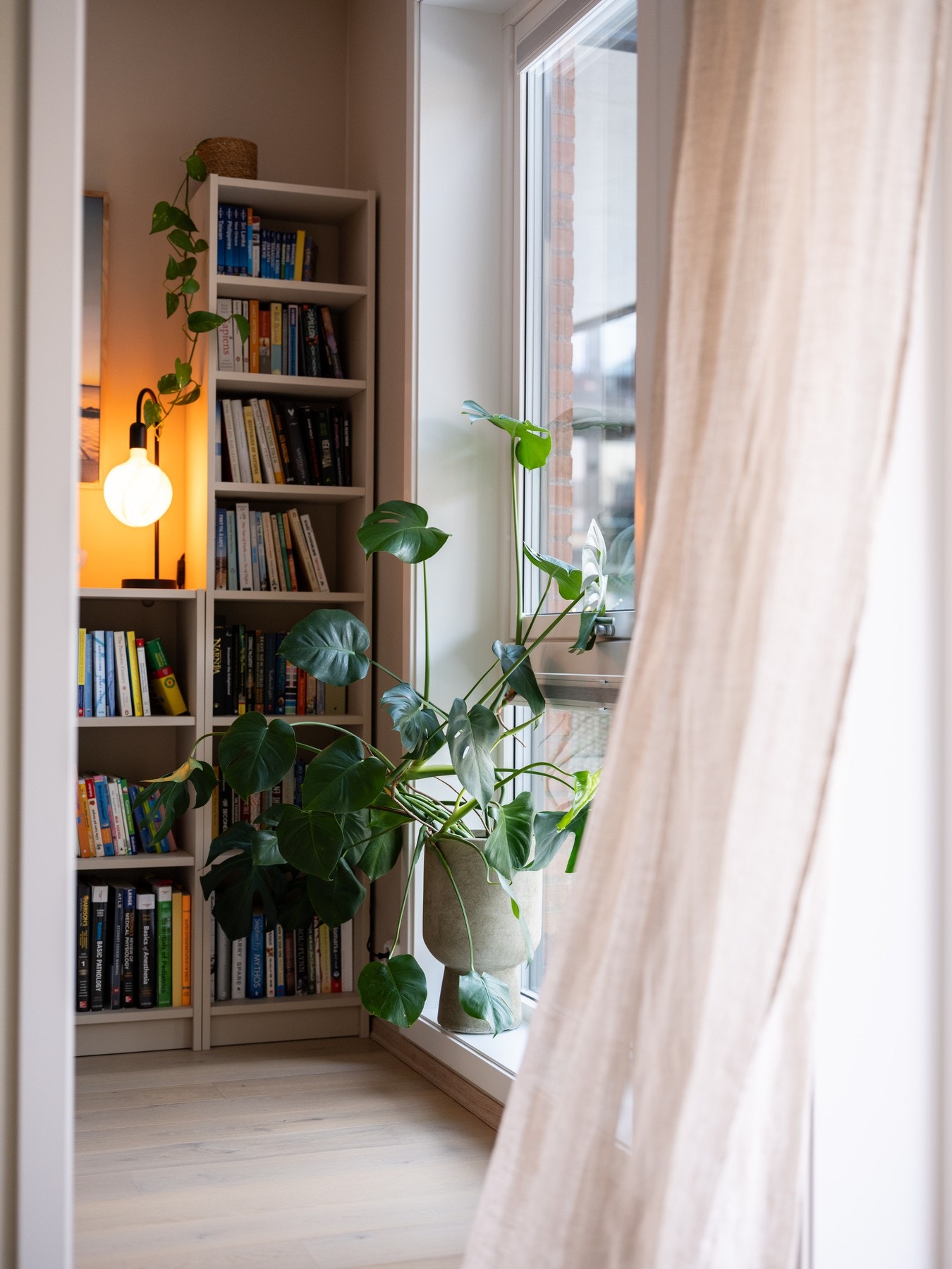 Legg merke til vinduet fra gulv til tak. Galleribilde