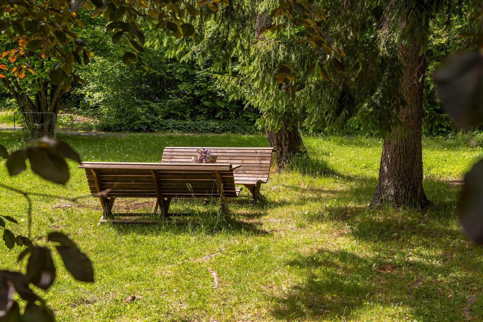 Borettslaget har en meget pent opparbeidet tomt, med store gressplener like utenfor. Galleribilde