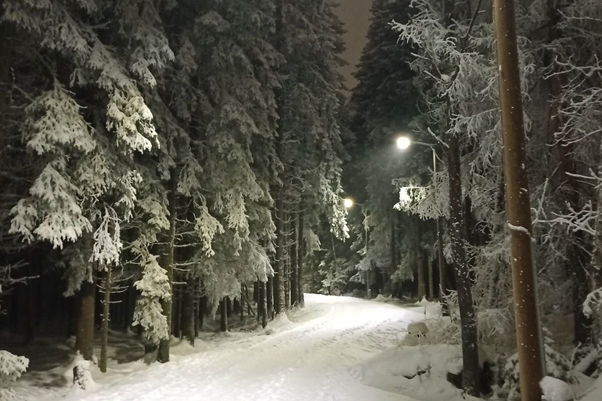 Skiløyper i Bråteskogen (Kilde: VårtStrømmen) Galleribilde