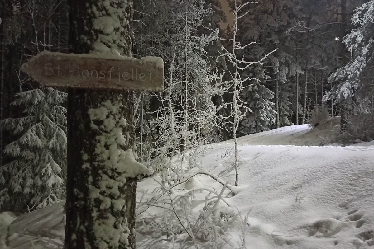 Skiløyper i Bråteskogen (Kilde: VårtStrømmen) Galleribilde