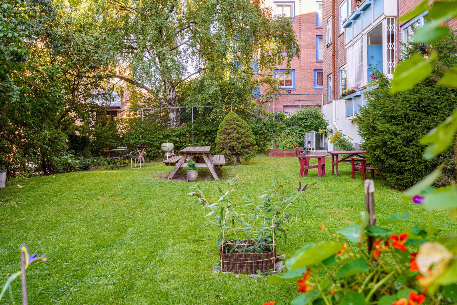 Bakgården på sommertid. Galleribilde