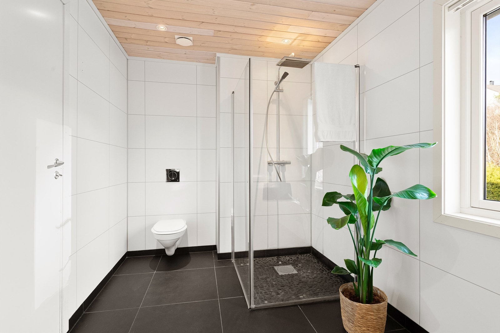 Dusjhjørne med glassvegger og vegghengt dusjarmatur med hånddusj og regndusj. Vegghengt toalett. Galleribilde