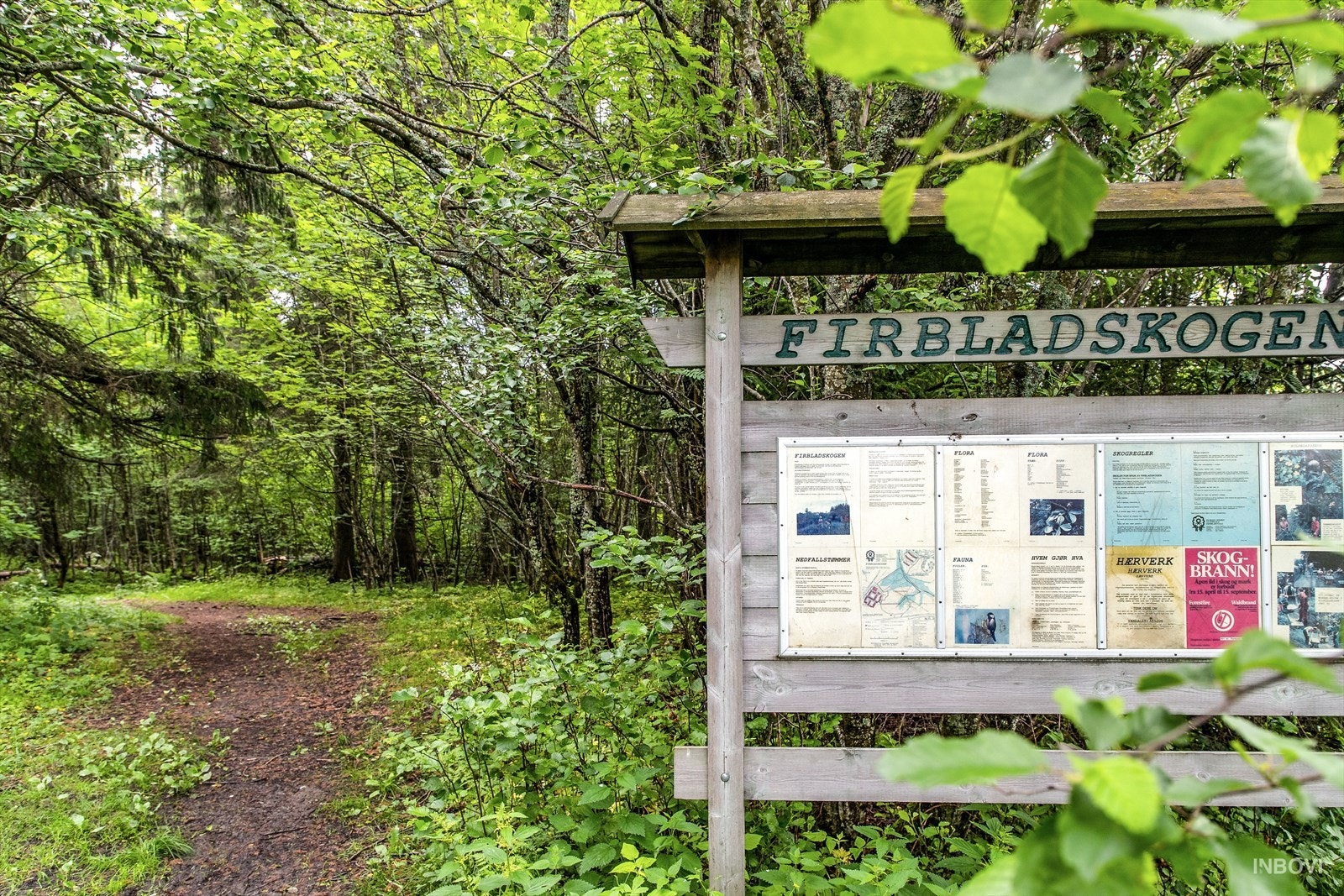 Fra boligen er det kort avstand til marka med en rekke turmuligheter for både store og små. Galleribilde
