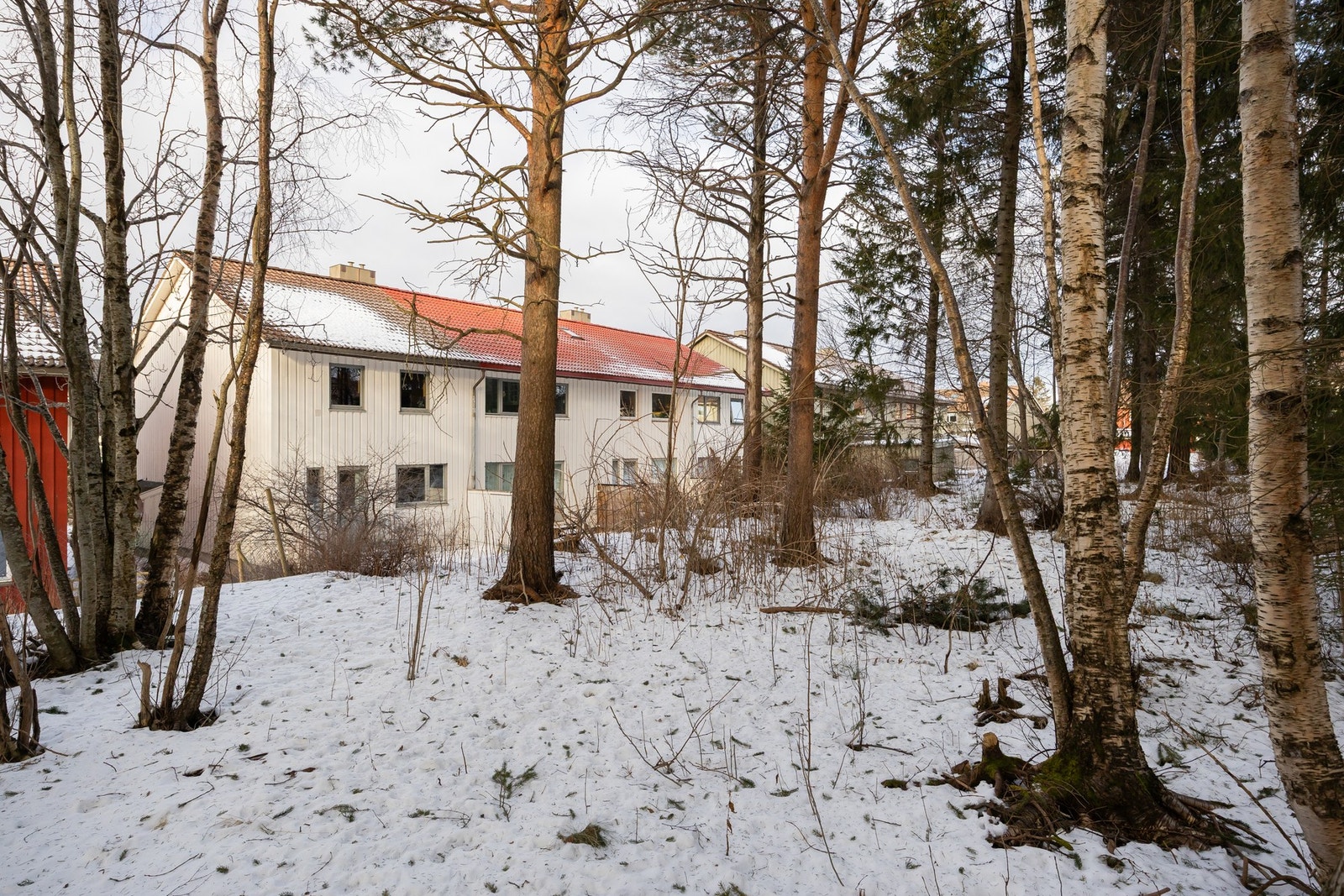 Utmerket plassering på enden av rekka som ligger helt inn mot skogholtet på Moltmyra. Galleribilde