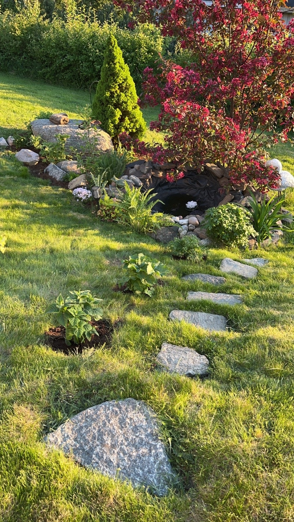 Hagen er pent opparbeidet med plen og diverse beplantning Galleribilde