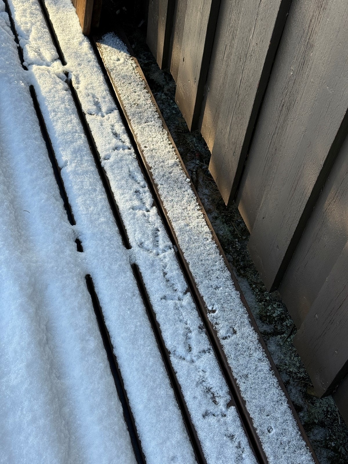 Gammelerik 1.jpg Galleribilde