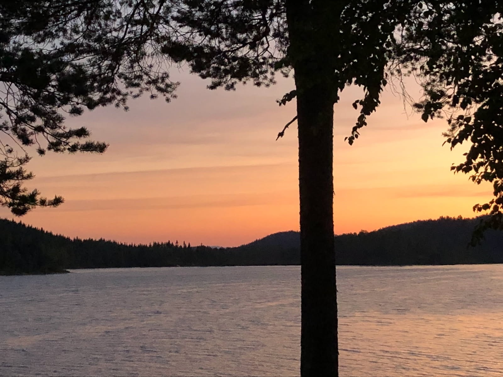 Selgers private bilde Galleribilde