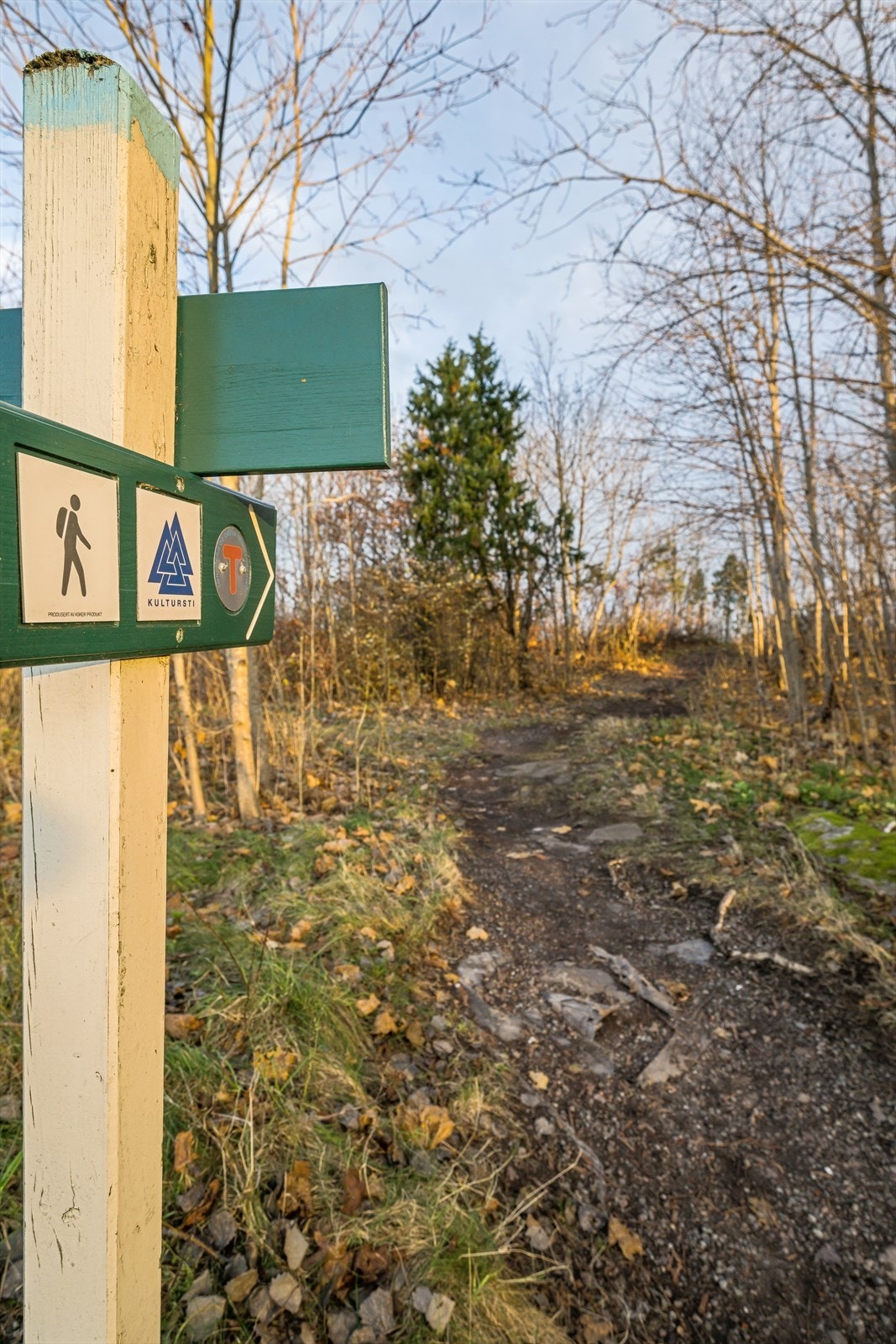 Åsgårdstrand Galleribilde