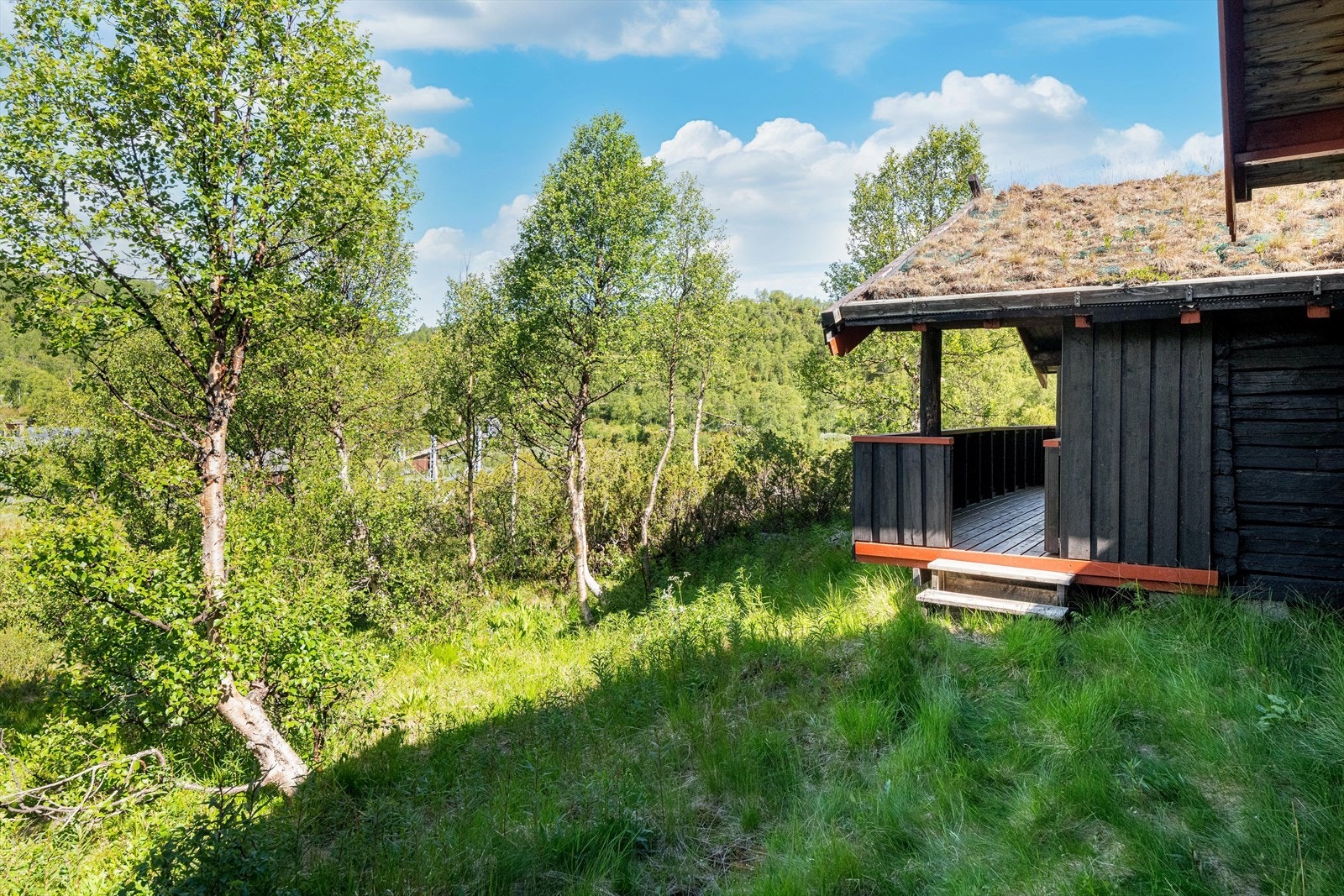 Eiendommen har en 971,40 kvm stor tomt med naturlig vegetasjon. Hytta har gode solforhold (formiddagssol på sydvendt platting/levegg og ettermiddagssol på verandaen i front). Galleribilde