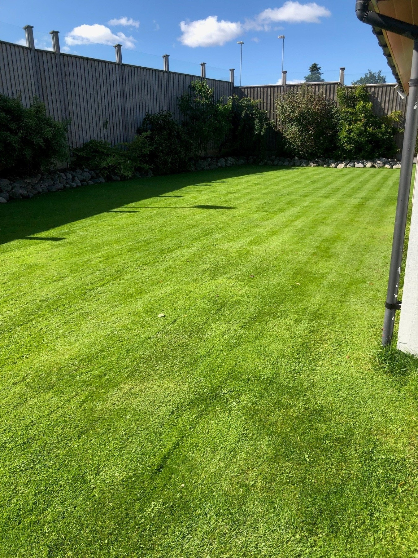 Selgers eget bilde fra sommeren Galleribilde