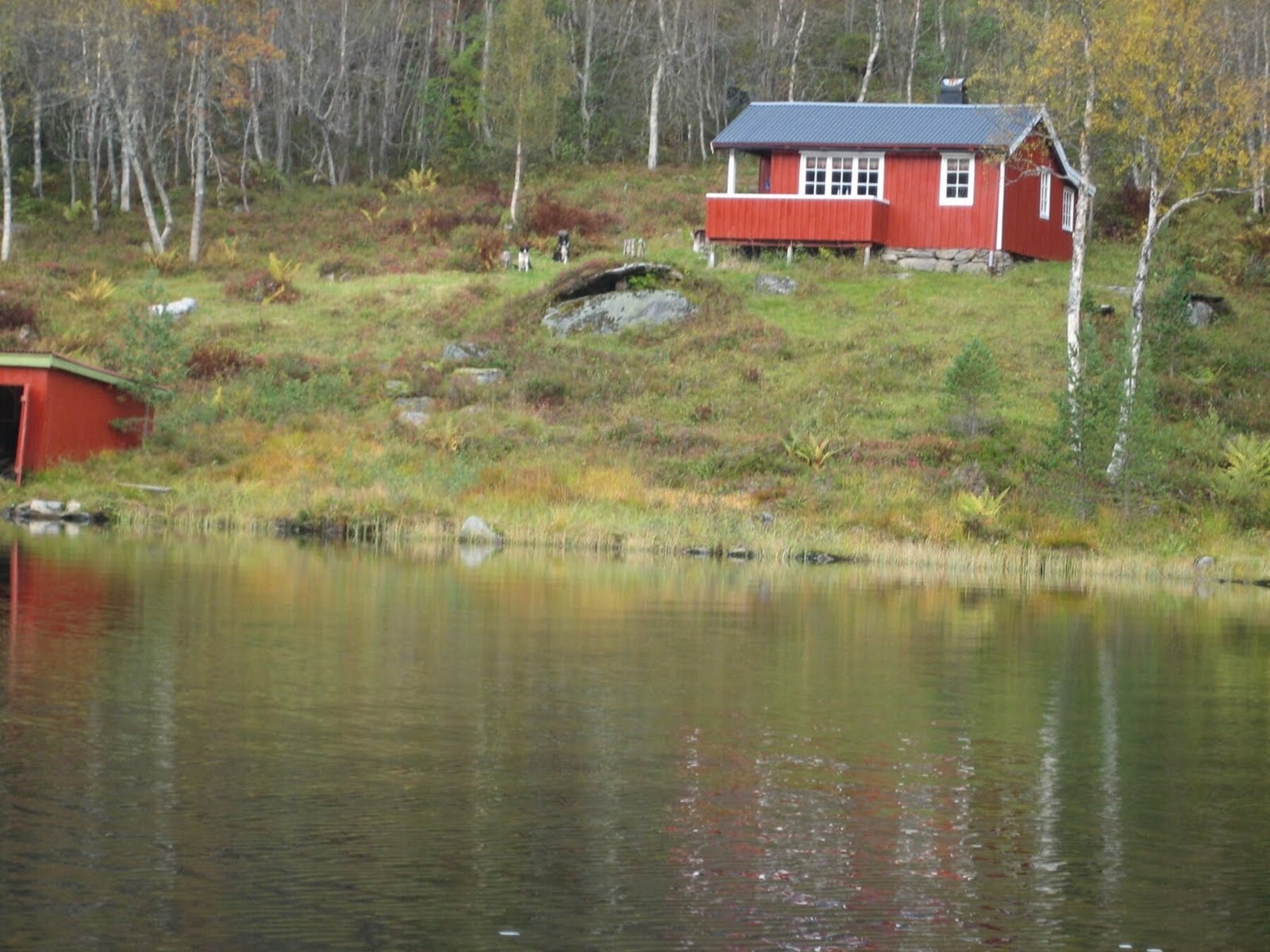 Privat foto. Galleribilde