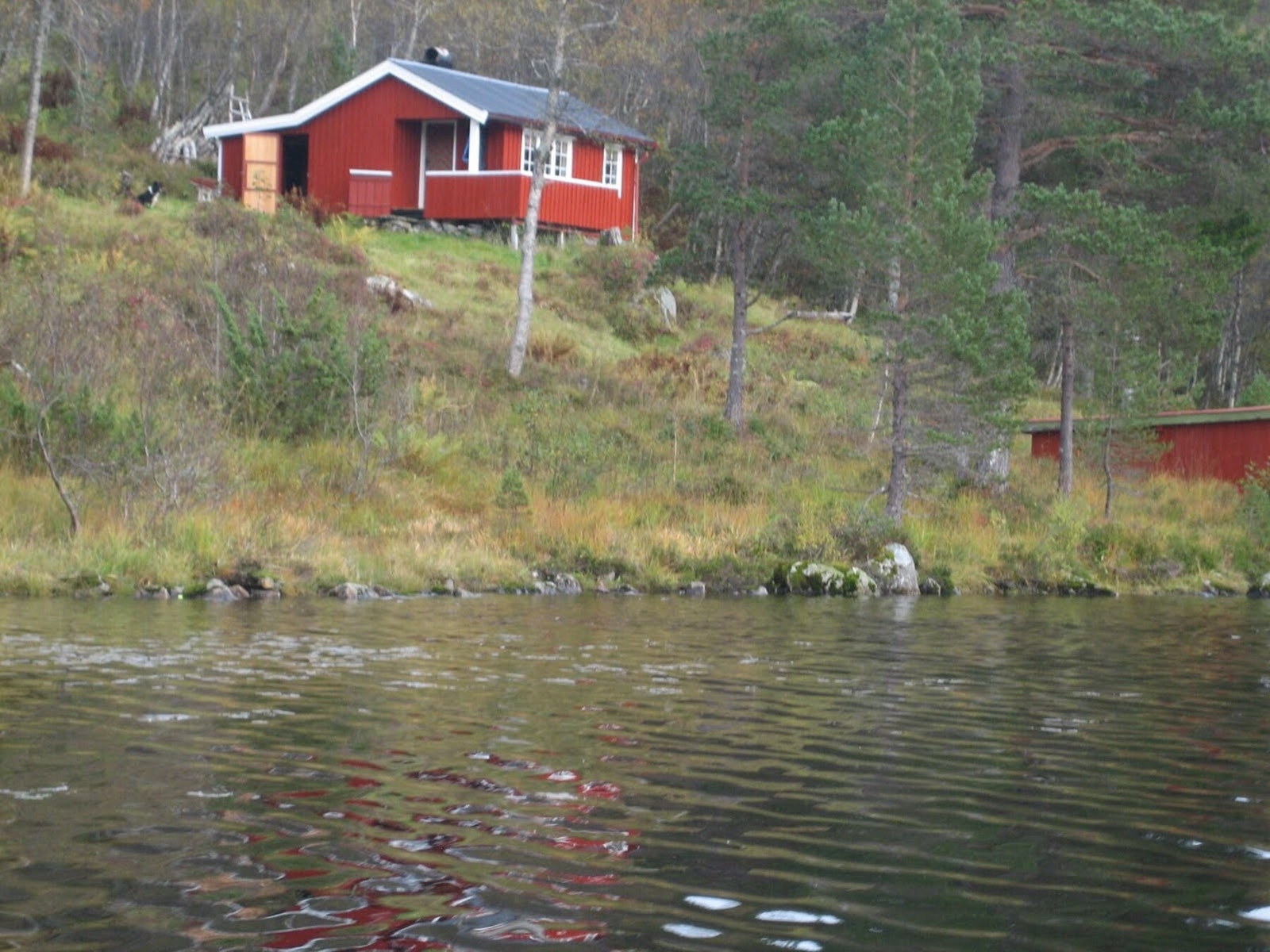 Privat foto. Galleribilde