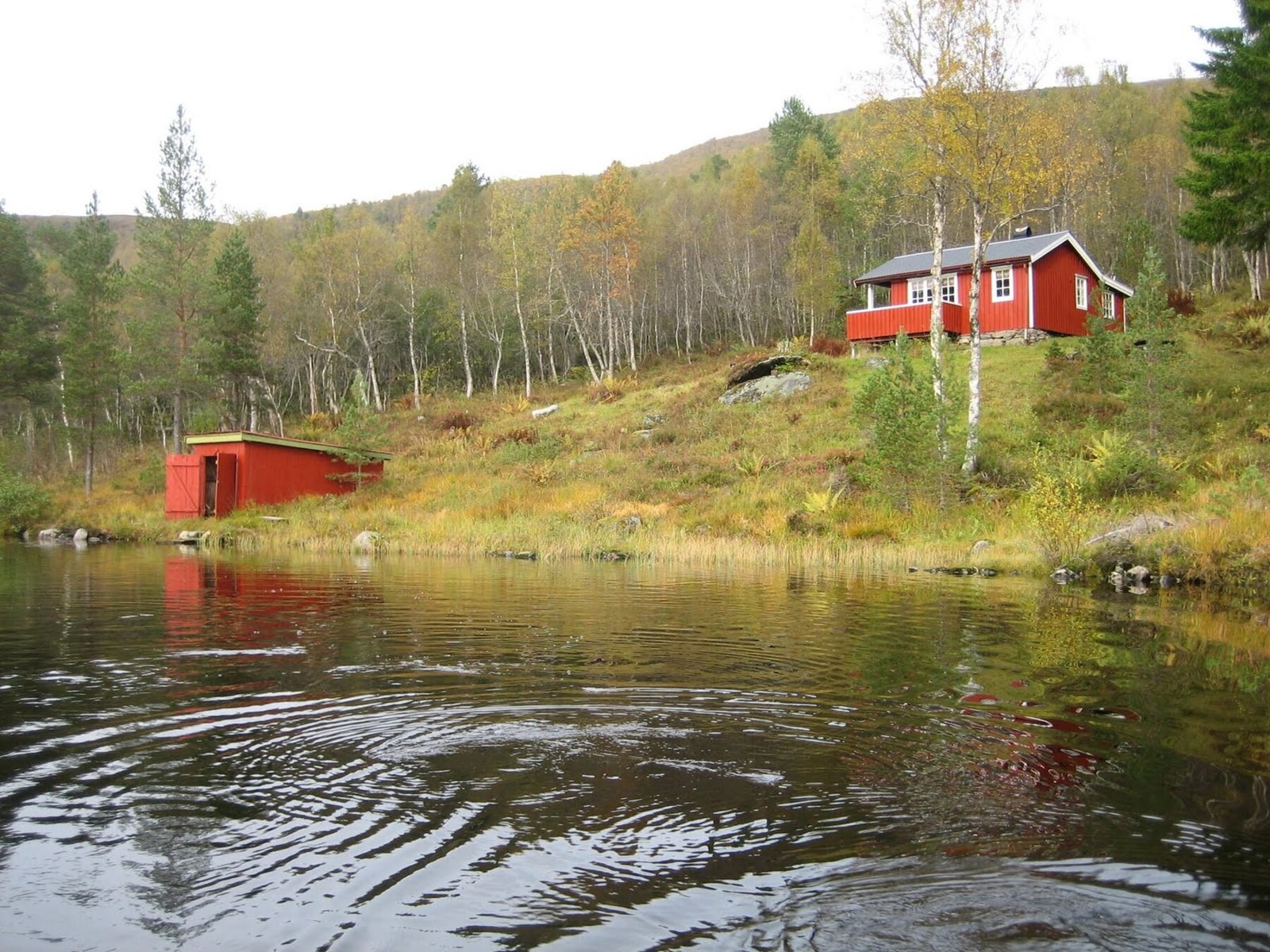 Eiendommen ligger i skrånende terreng med naturlig drenering og vegetasjon, og byr på en ekte og urørt hyttetomt. Galleribilde