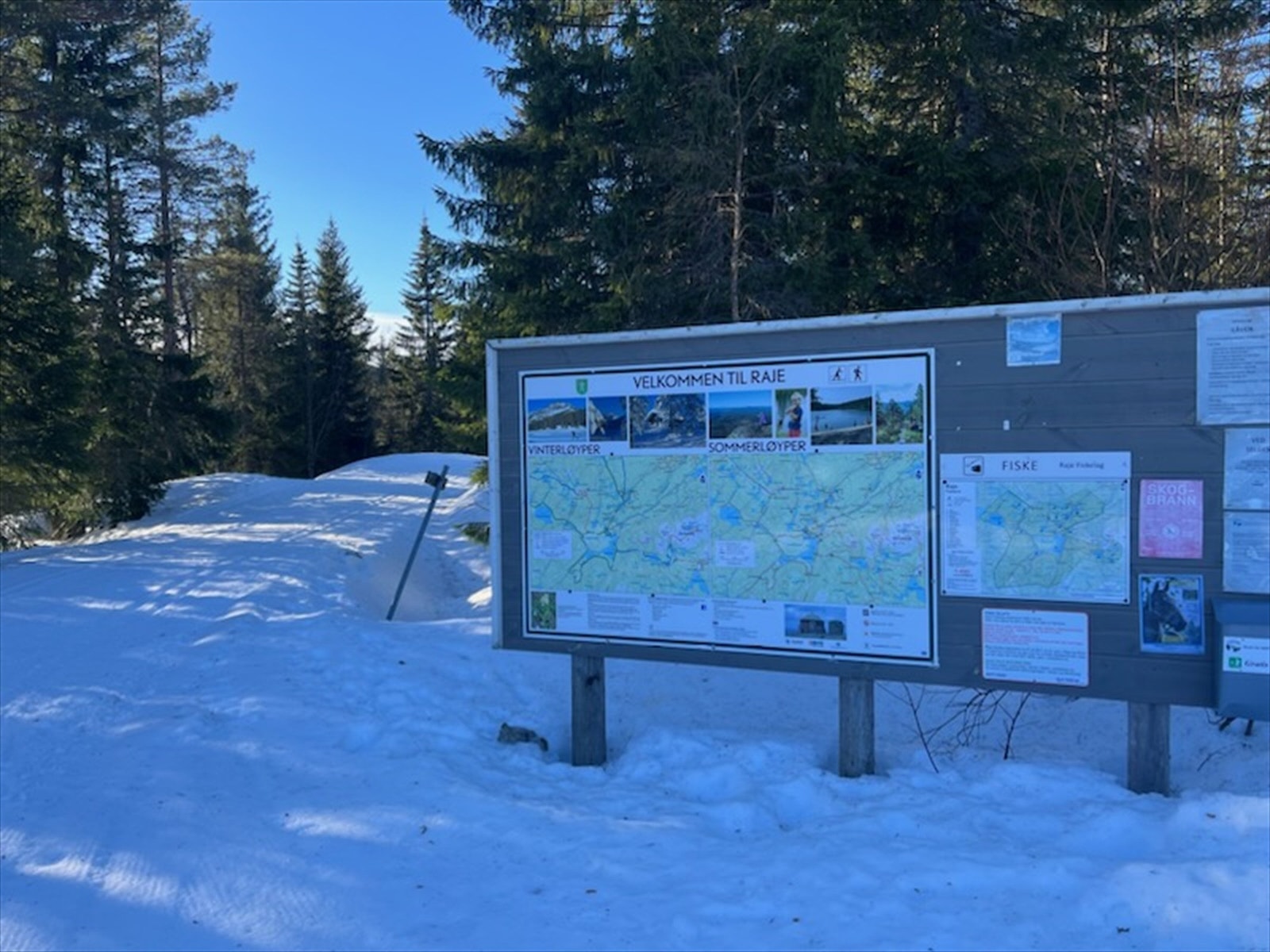 Privat foto: Rajekollen hyttegrend - Området byr på uberørt skog- og fjellområder som byr også på flott langrennsmuligheter. Galleribilde