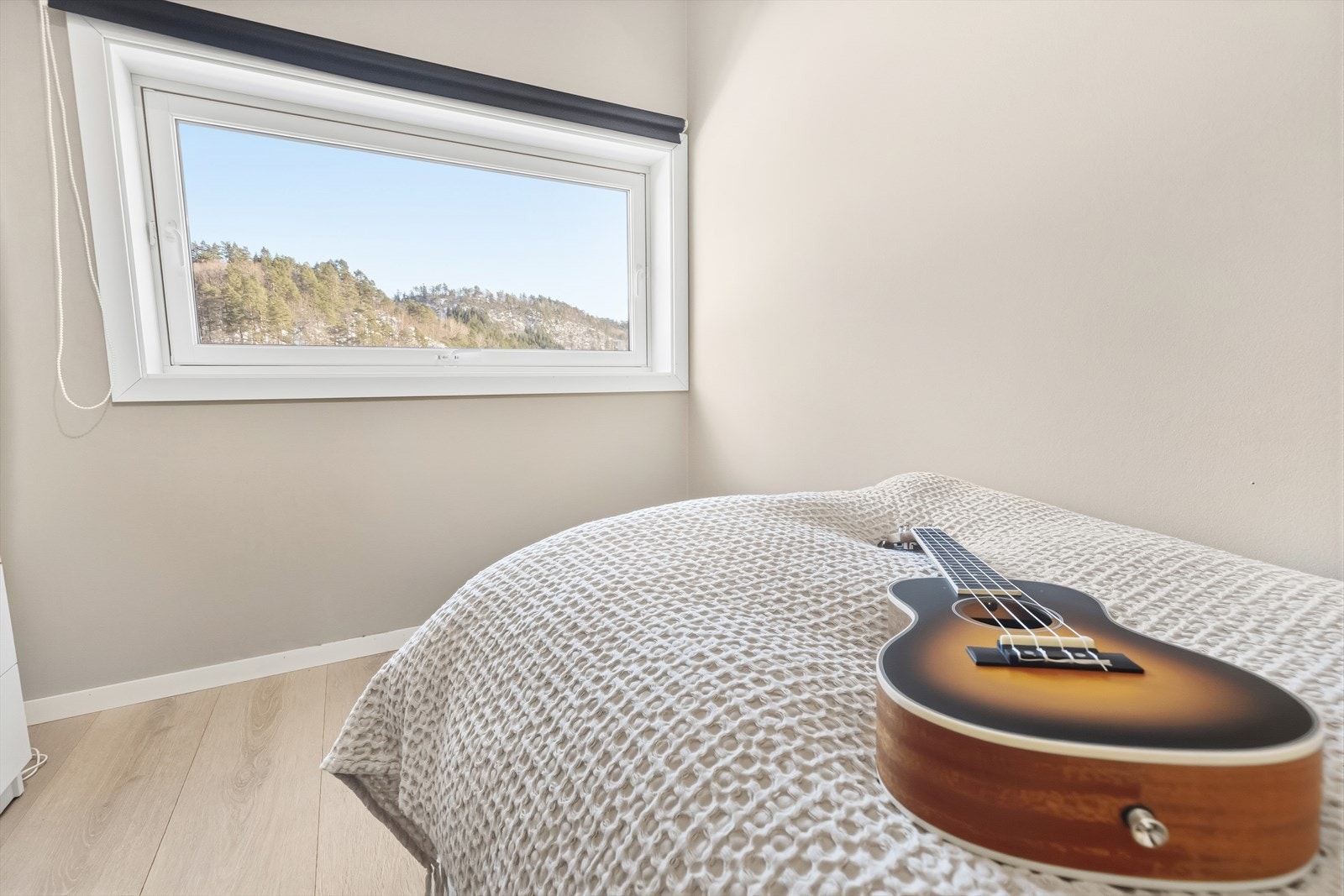 Soverom nr. 2. Galleribilde