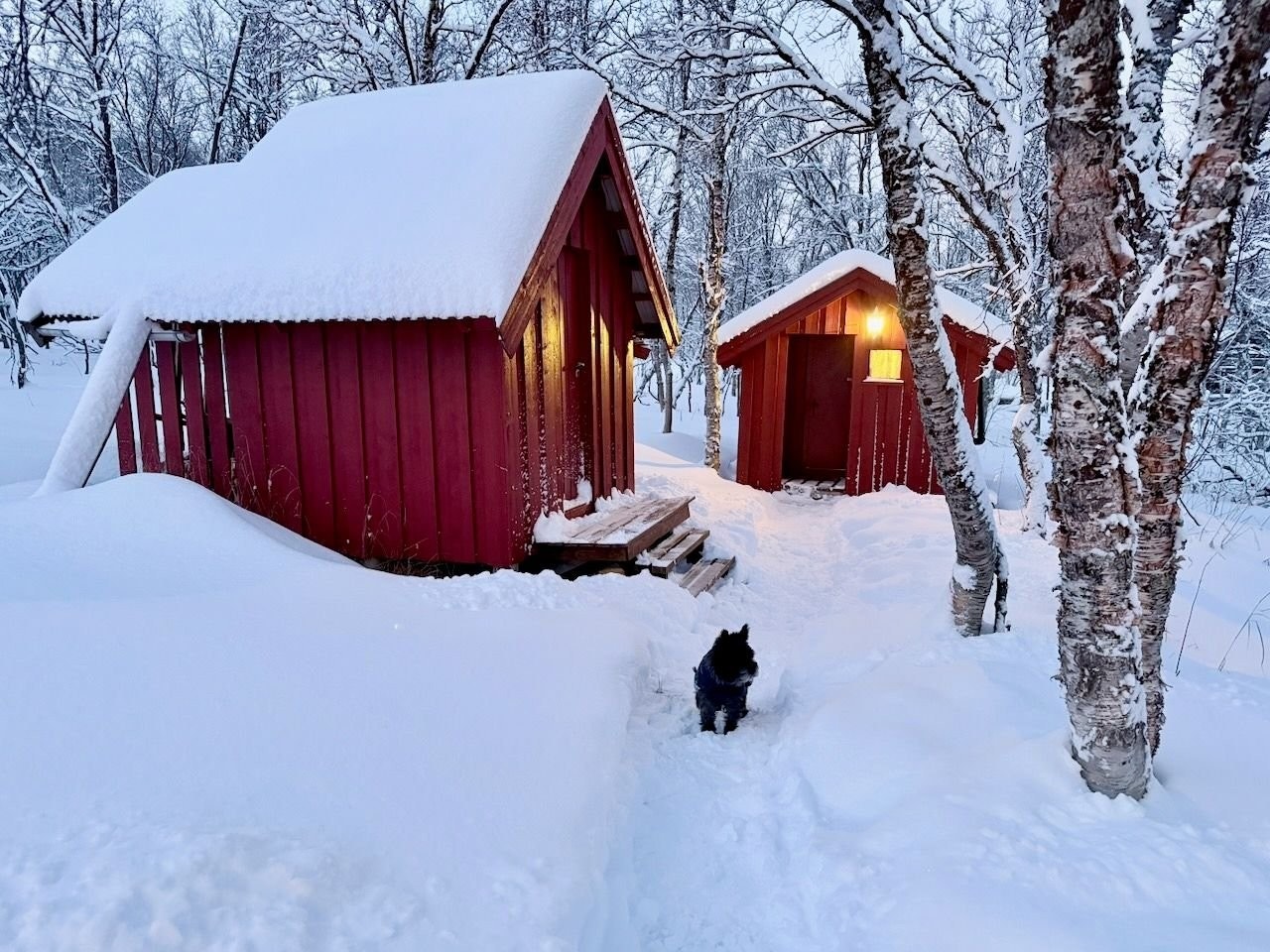 Luftig vedbod. Galleribilde