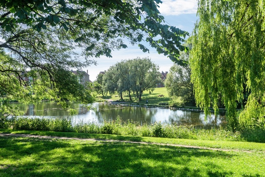 Området byr på flere grønne lunger og rekreasjonsområder. Galleribilde