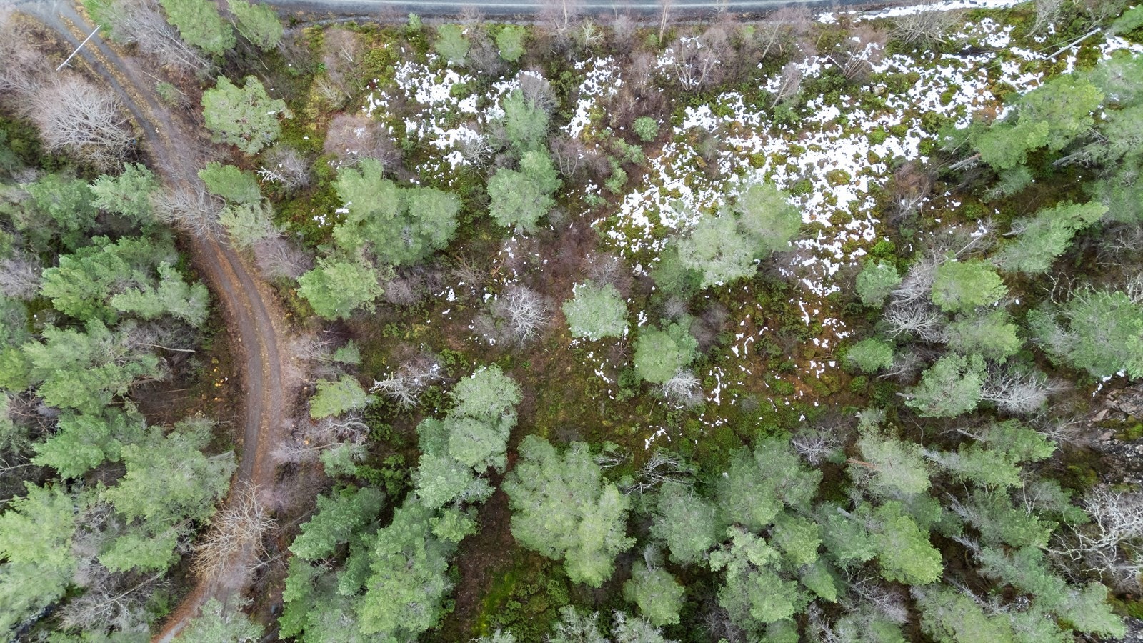 Vann, avløp og strøm til tomtegrensen. Galleribilde