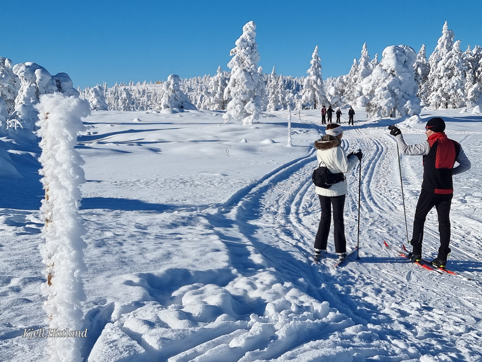 Skiløypene er rett ved hytten Galleribilde