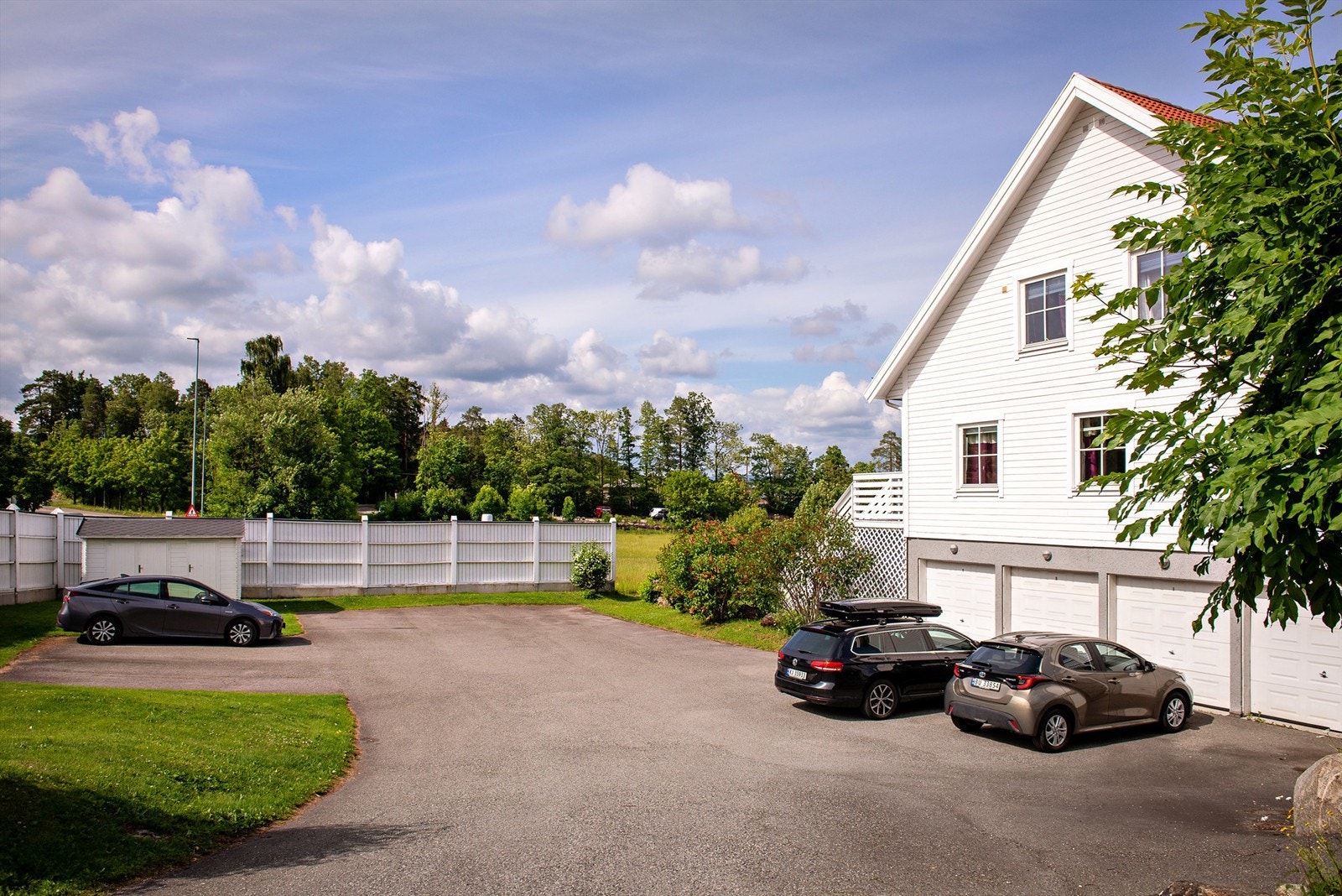 Sommerbilde. Galleribilde