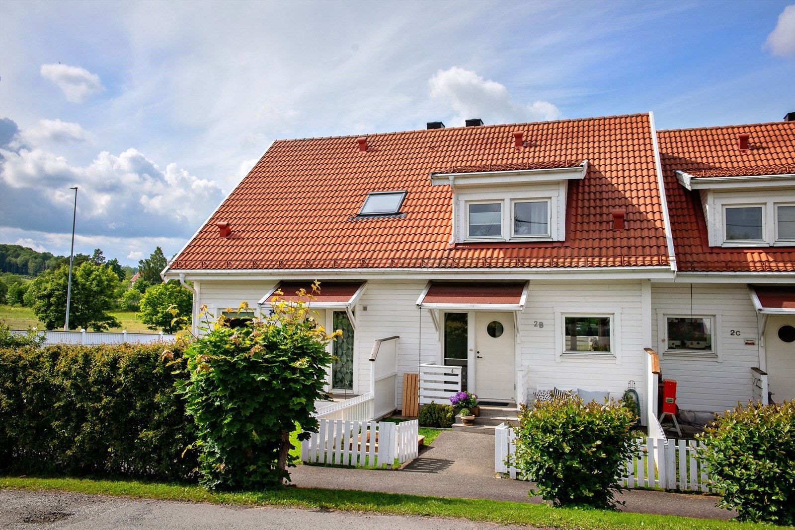 Sommerbilde. Galleribilde