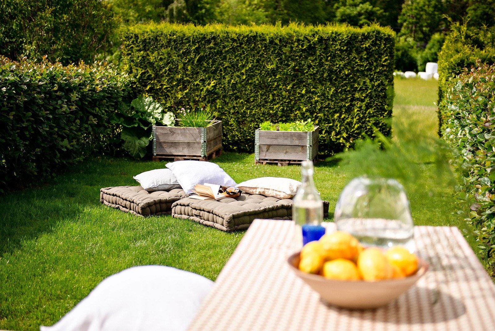 Sommerbilde. Galleribilde