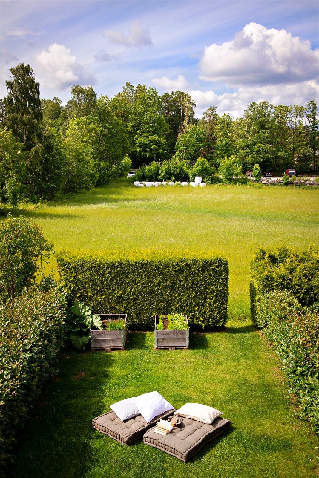 Sommerbilde. Galleribilde