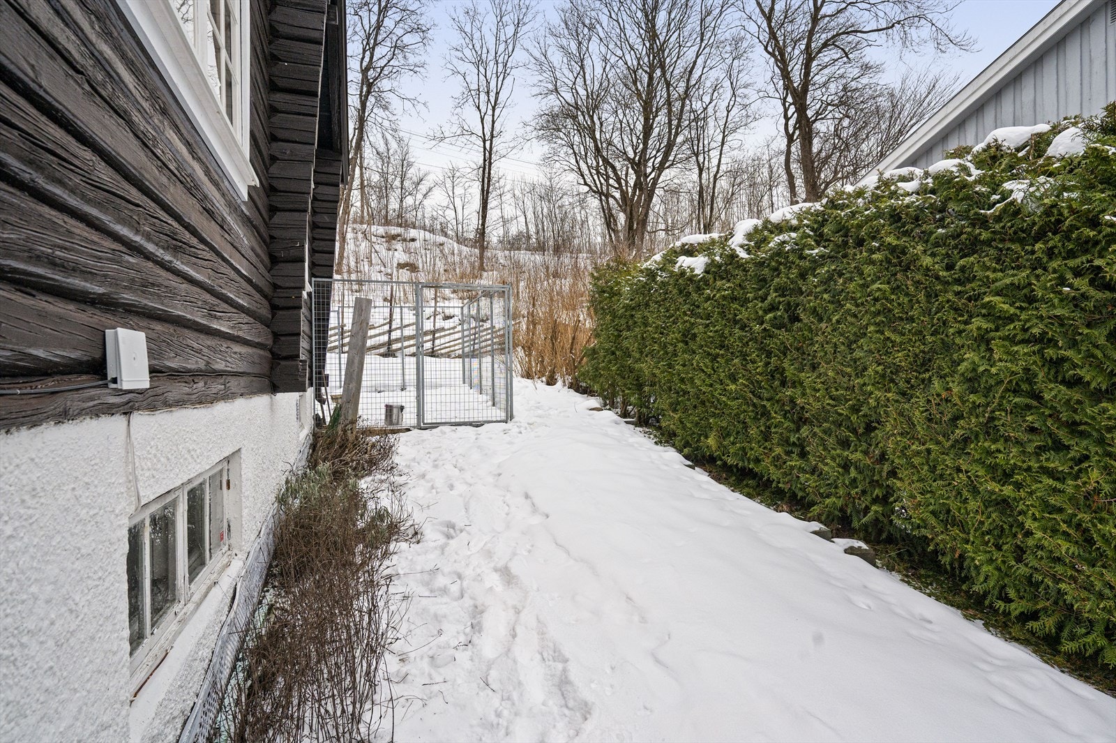 Deler av hagen er skjermet med hekk mot nabo. Galleribilde