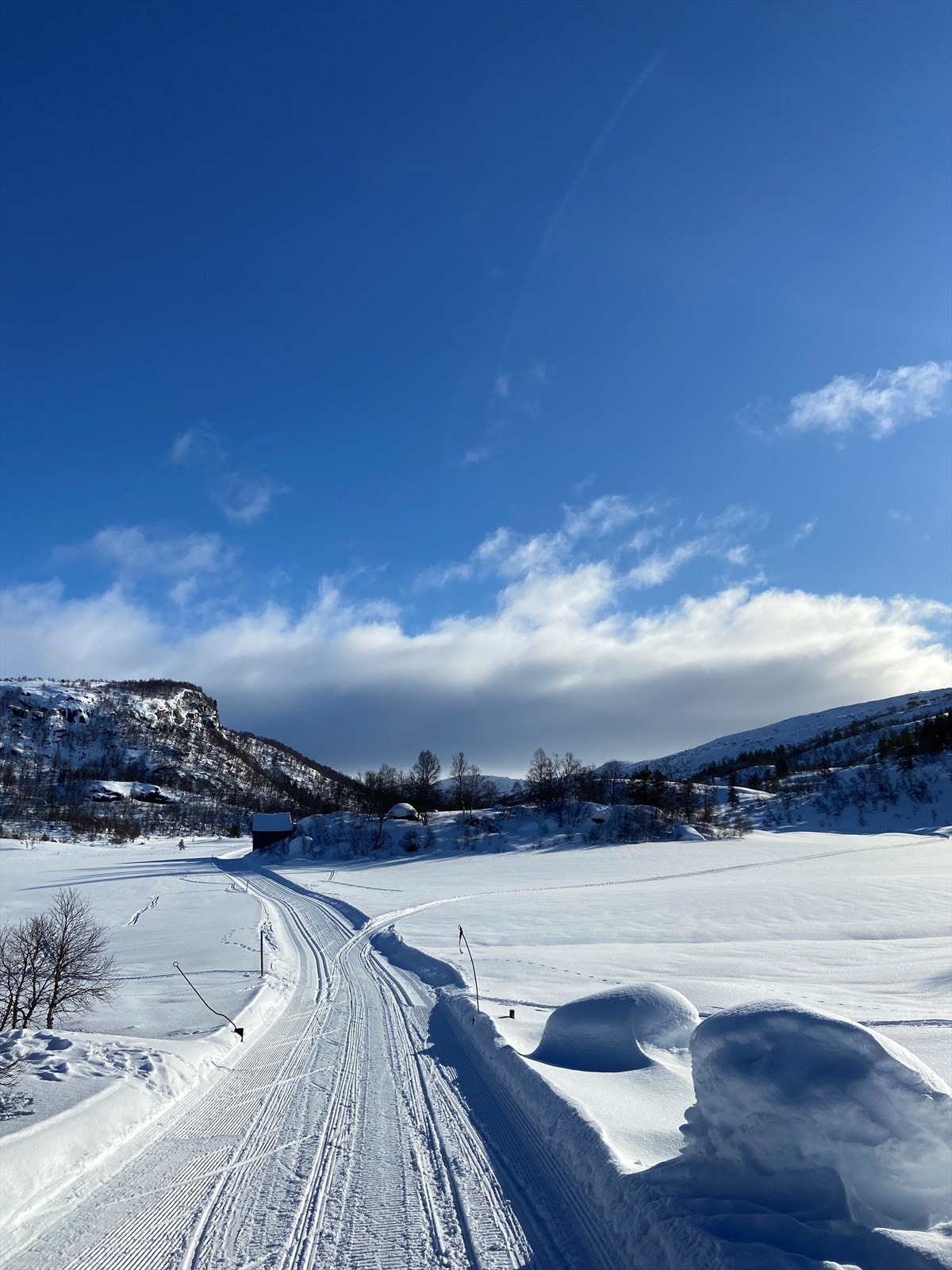 Nydelige skiløyper like bortenfor hytten. Bilde tatt av selger. Galleribilde