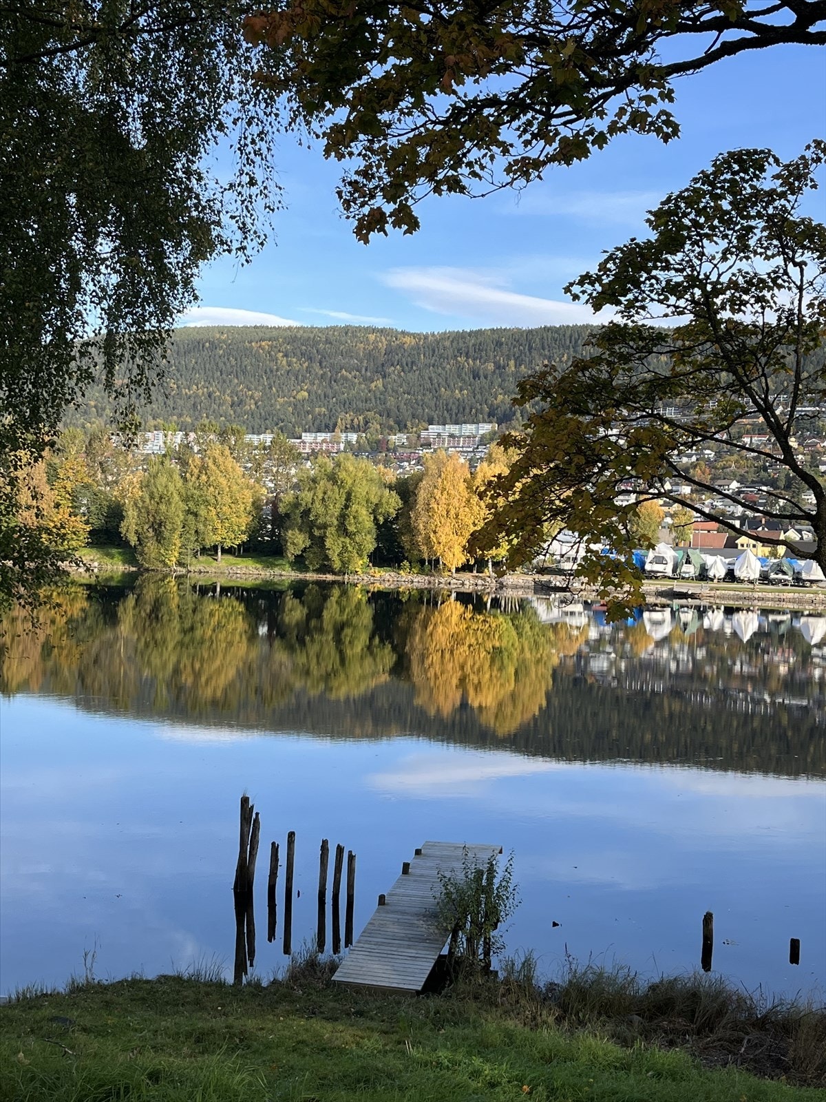 Stemningsbilde tatt av eier - Flotte turmulighet langs elven på i nærområdet. Galleribilde