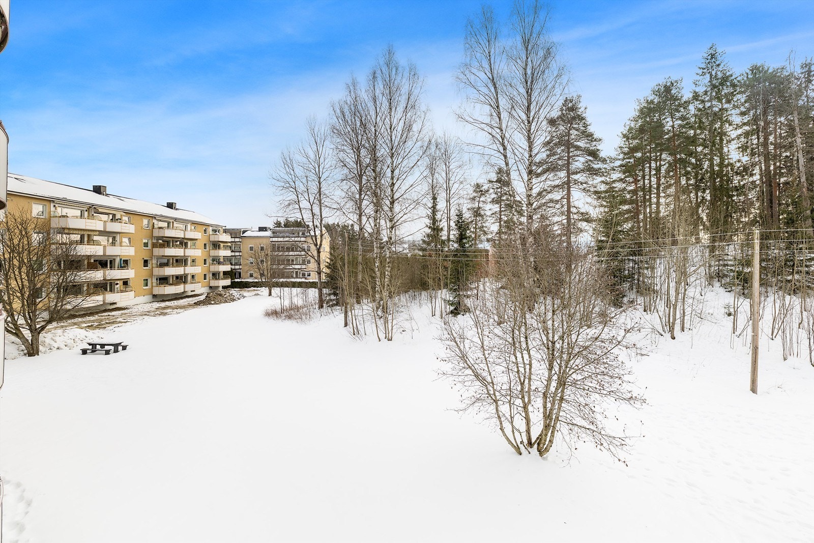 Utsikten gir en følelse av å bo tett på naturen, samtidig som du er sentralt. Galleribilde