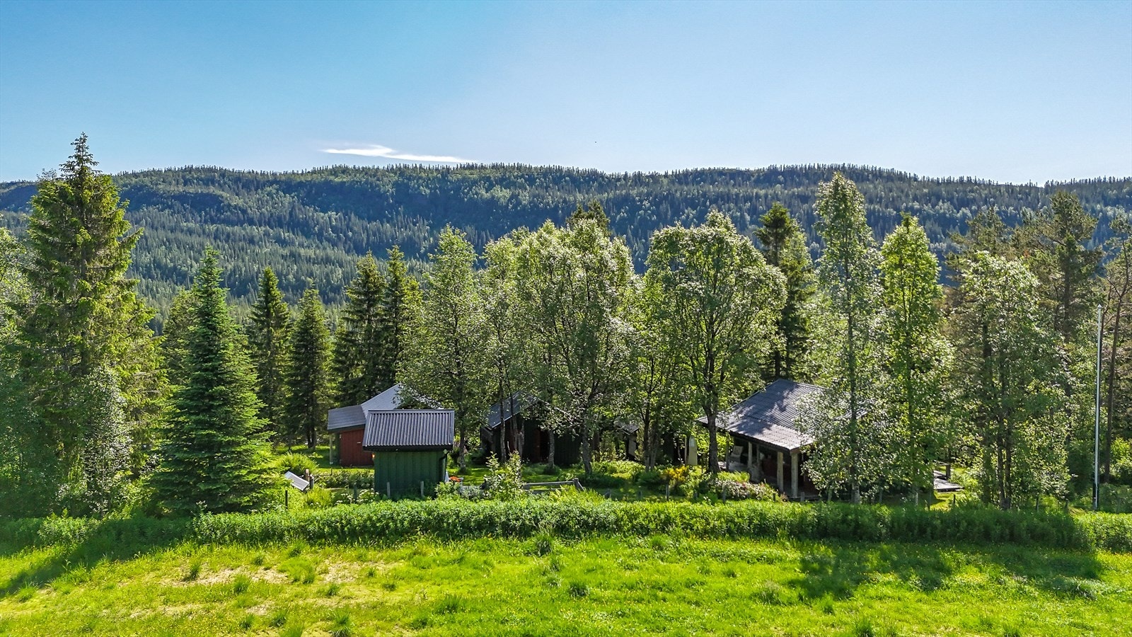 Eiendommen er innholdsrik og pent opparbeidet med trær og pryd- og bærbusker. Galleribilde