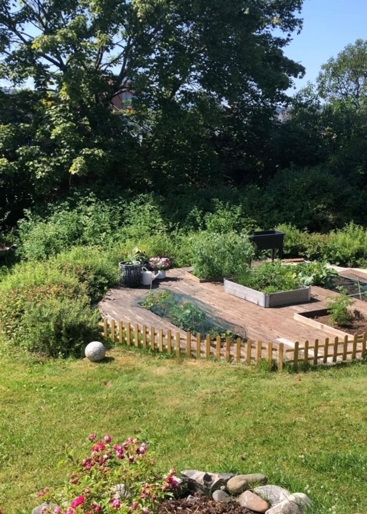 Her får du et innblikk i hvordan hagen ser ut under snøen. Galleribilde