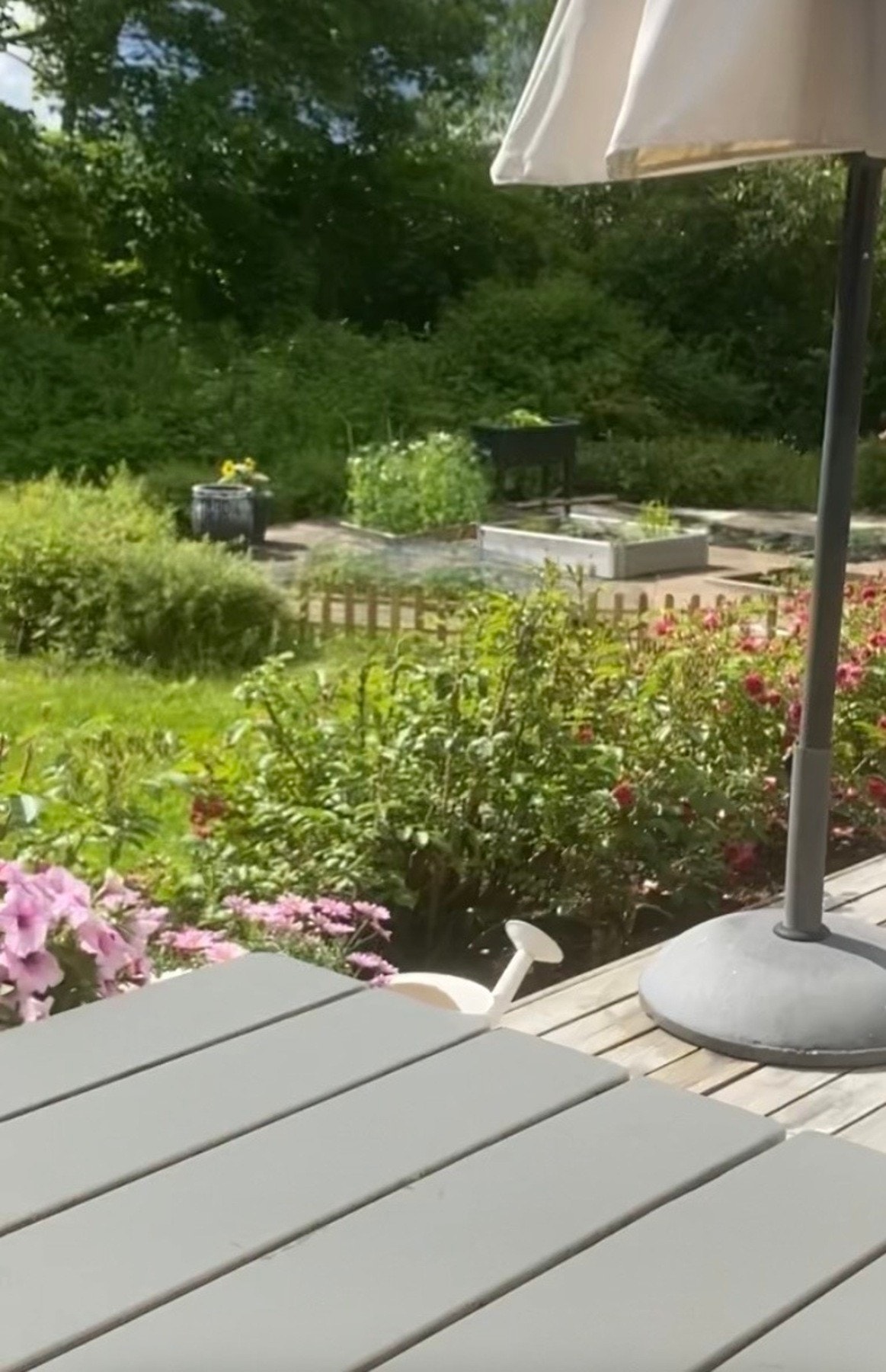 Selgers private bilde fra sommeren. Galleribilde