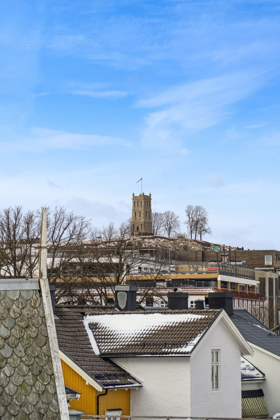 Fra leiligheten er det utsikt mot Slottsfjellet, et av Tønsbergs kjente landemerker. Galleribilde