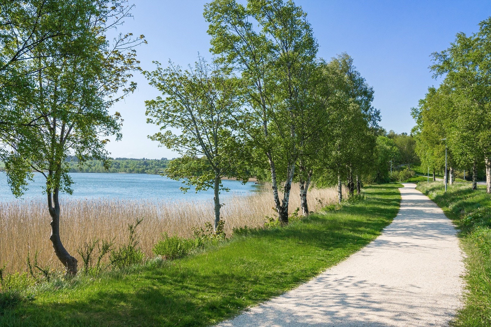 Nærområde Galleribilde