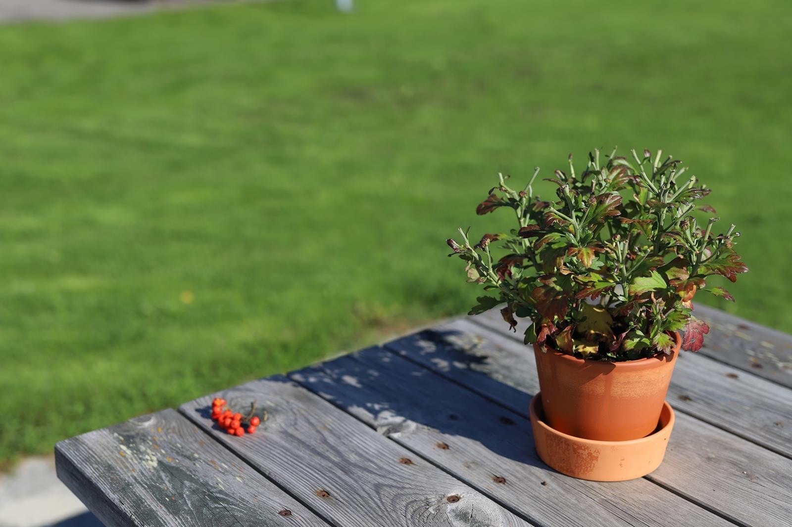 Sjekk Heimstaden.no for flere leiligheter Galleribilde