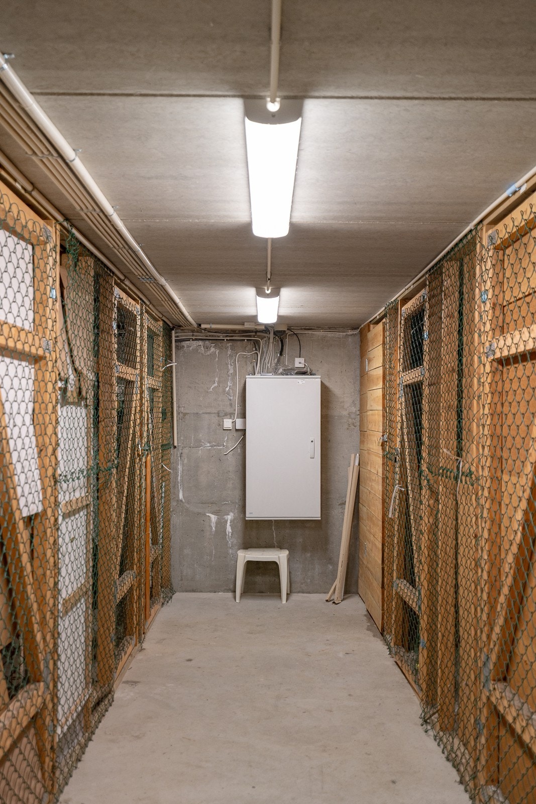 Sportsbod Galleribilde