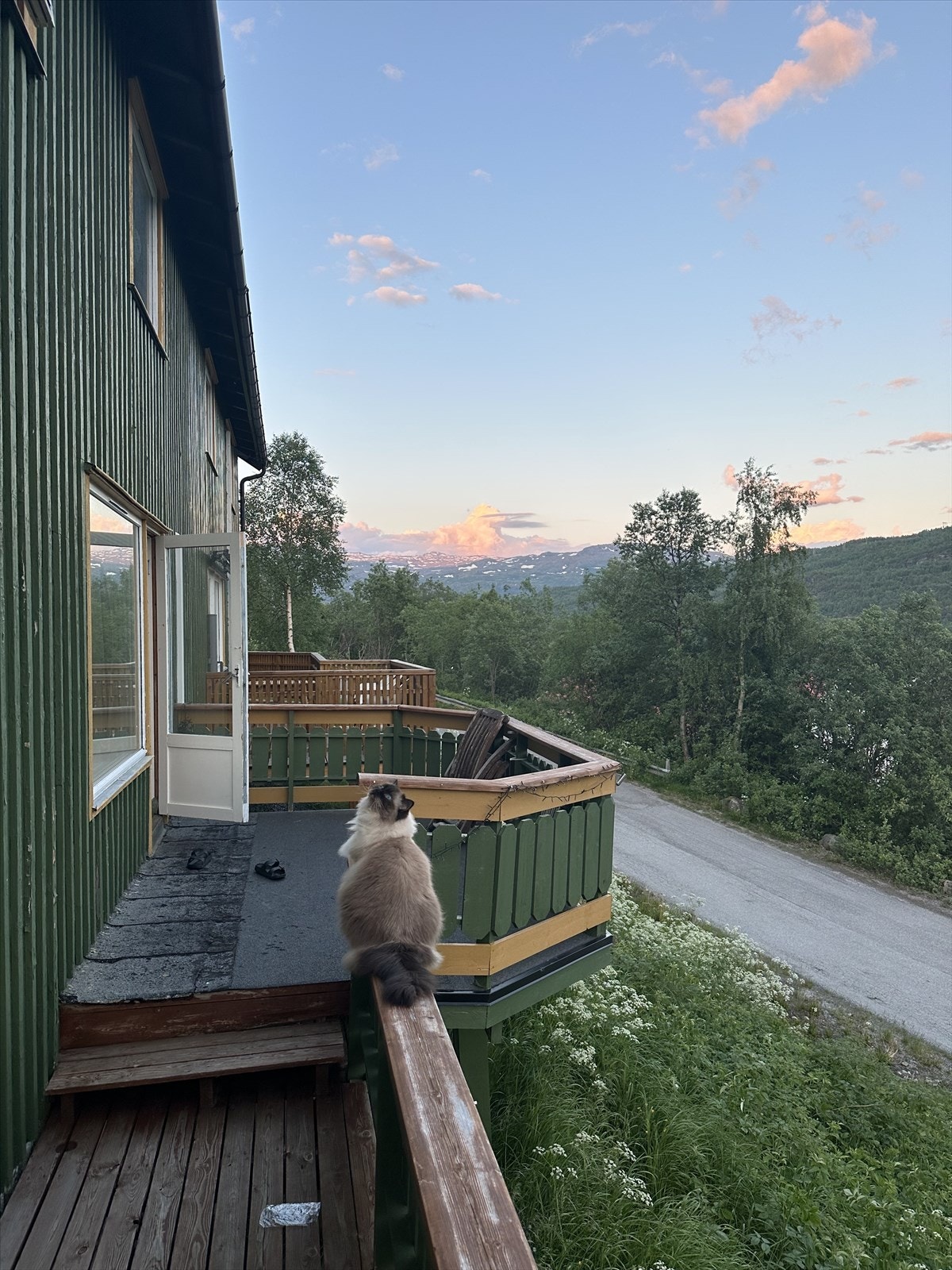 Fra terrassen Galleribilde