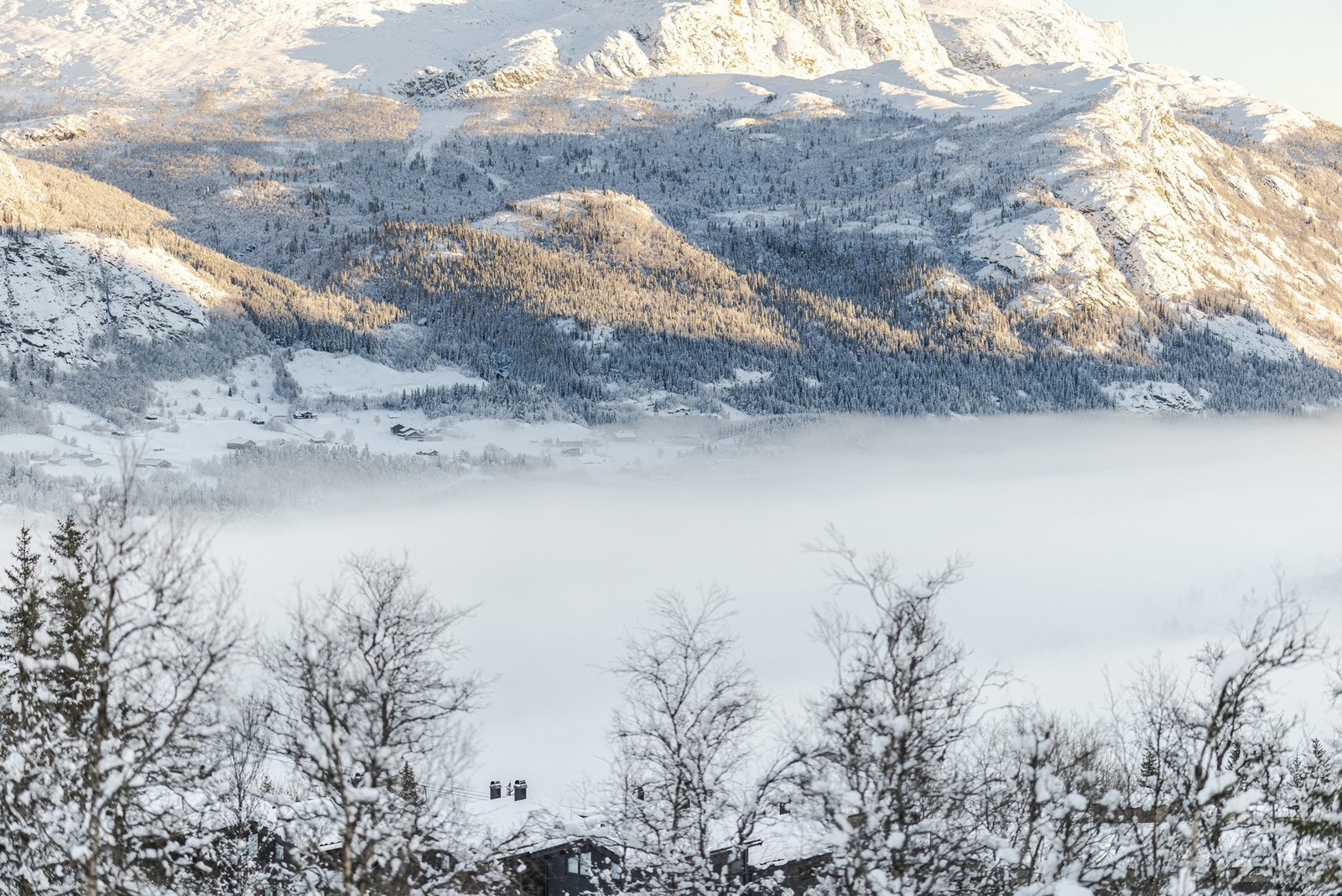 Utsikt! Galleribilde