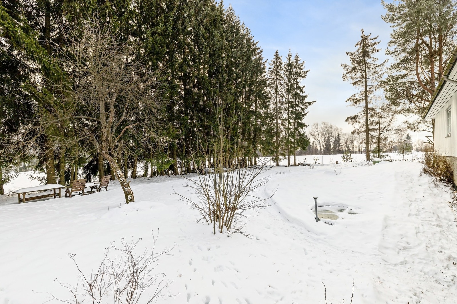 Rolig og etablert boligområde med nærhet til naturen. Galleribilde