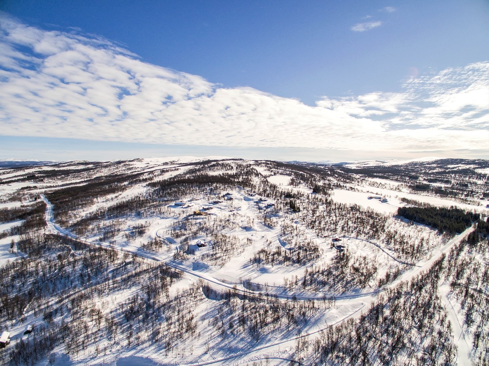 Ikke langt fra feltet er det oppkjørte skiløyper hele vinteren. Galleribilde