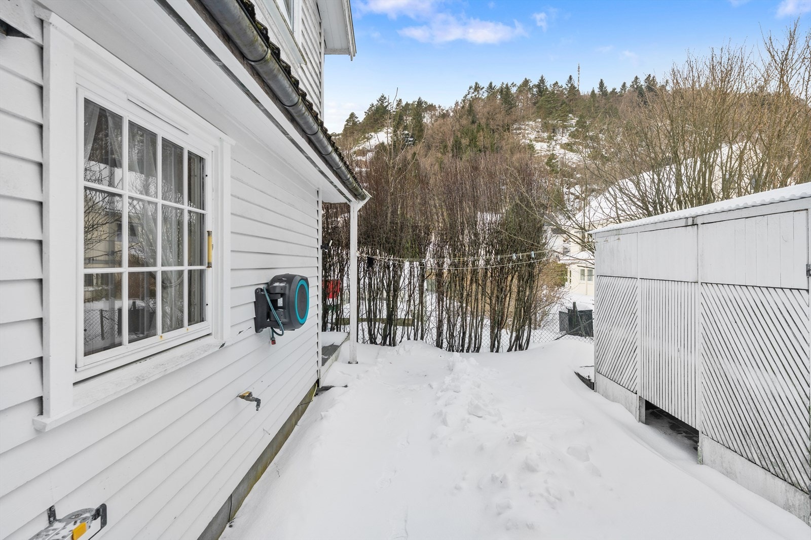 Hekk som skjermer Galleribilde