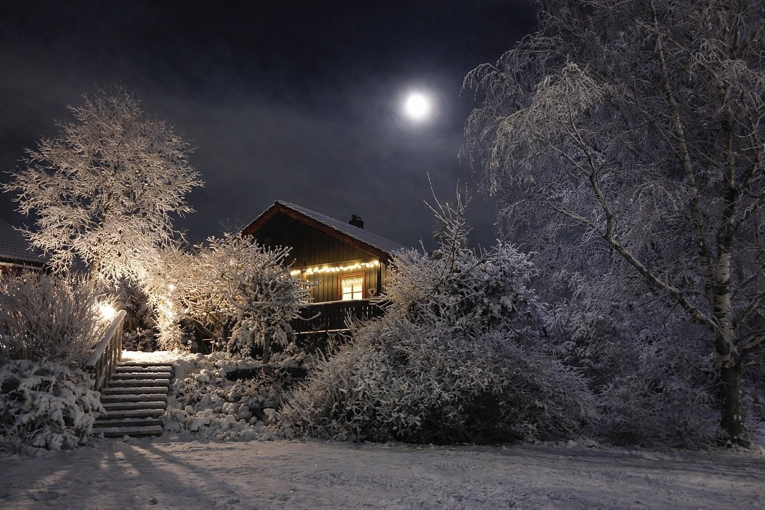 Vinterbilde. Galleribilde